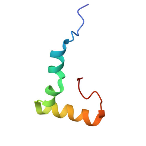 Rcsb Pdb 5uyq 70s Ribosome Bound With Near Cognate Ternary Complex Base Paired To A Site Codon Closed 30s Structure Iii Nc