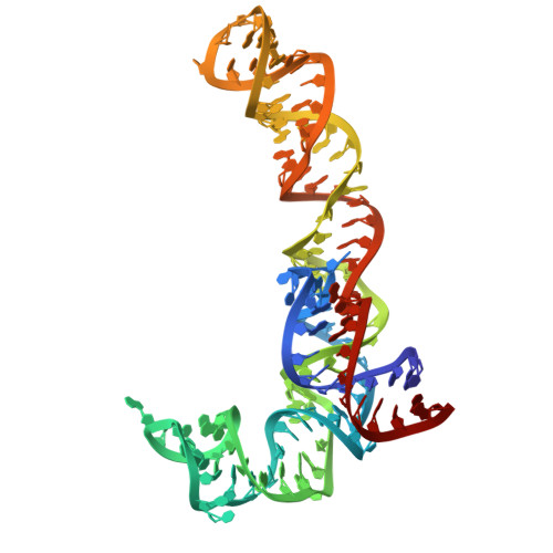 Rcsb Pdb 5uyq 70s Ribosome Bound With Near Cognate Ternary Complex Base Paired To A Site Codon Closed 30s Structure Iii Nc