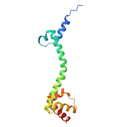 Rcsb Pdb 5uyq 70s Ribosome Bound With Near Cognate Ternary Complex Base Paired To A Site Codon Closed 30s Structure Iii Nc