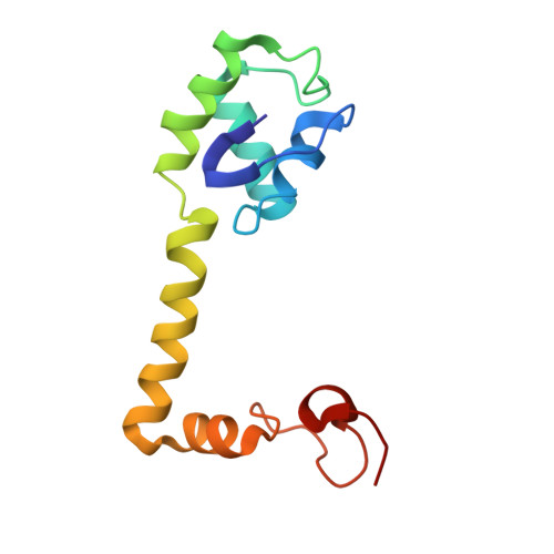 Rcsb Pdb 5uyq 70s Ribosome Bound With Near Cognate Ternary Complex Base Paired To A Site Codon Closed 30s Structure Iii Nc