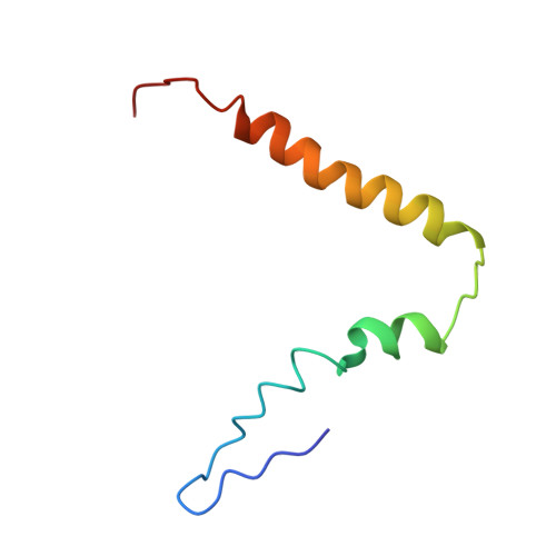 Rcsb Pdb 5uyq 70s Ribosome Bound With Near Cognate Ternary Complex Base Paired To A Site Codon Closed 30s Structure Iii Nc