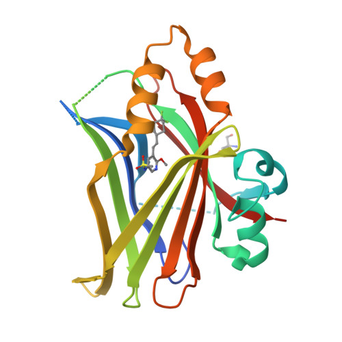 Rcsb Pdb 6uyc Crystal Structure Of Tead2 Bound To Compound 2