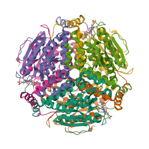 Protein Data Bank: 2UZF