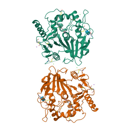 Rcsb Pdb 4uzq Structure Of The Wnt Deacylase Notum In Complex With O Palmitoleoyl Serine Crystal Form Ix 1 5a