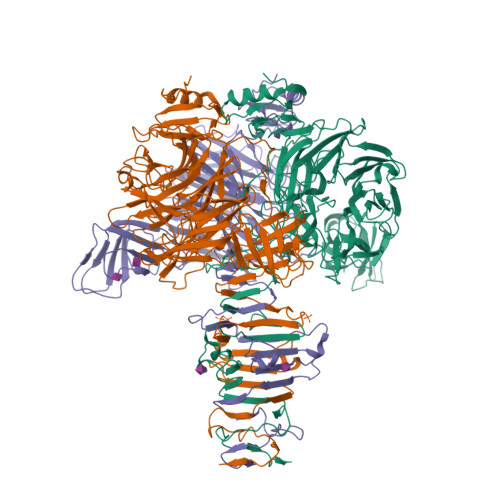 Rcsb Pdb 1v0f Endosialidase Of Bacteriophage K1f In Complex With Oligomeric Alpha 2 8 Sialic Acid