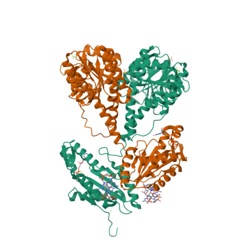 Rcsb Pdb 2v0n Activated Response Regulator Pled In Complex With C Digmp And Gtp Alpha S