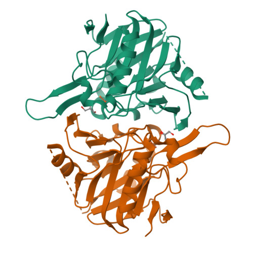 Rcsb Pdb 4v0h Human Metallo Beta Lactamase Domain Containing Protein 1 Hmblac1