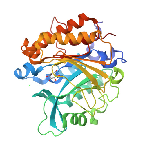 Protein Data Bank: 3V16
