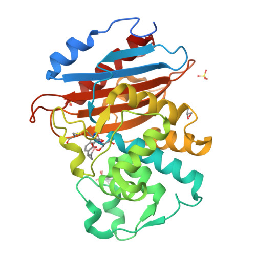 Rcsb Pdb 6v1j Structure Of Kpc 2 Bound To Qpx7728 At 1 30 A