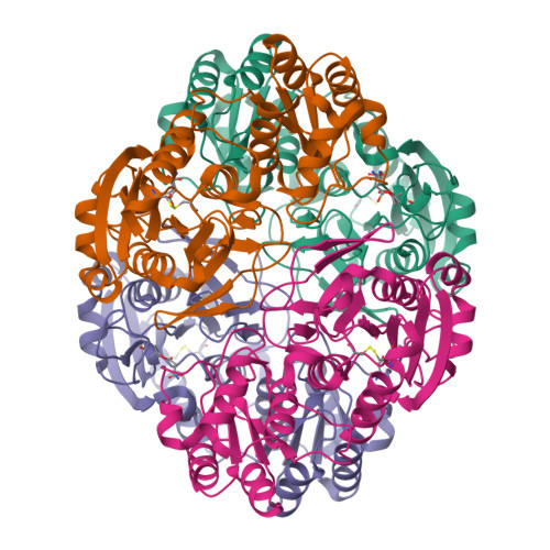 Rcsb Pdb 6v2c Complex Of Mutant K162m Of E Coli L Asparaginase Ii With L Asp Covalent Acyl Enzyme Intermediate And Tetrahedral Intermediate