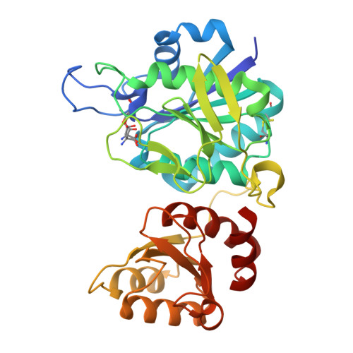 Rcsb Pdb 6v2c Complex Of Mutant K162m Of E Coli L Asparaginase Ii With L Asp Covalent Acyl Enzyme Intermediate And Tetrahedral Intermediate