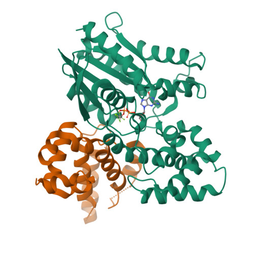 Rcsb Pdb 2v4z The Crystal Structure Of The Human G Protein Subunit Alpha Gnai3 In Complex With An Engineered Regulator Of G Protein Signaling Type 2 Domain Rgs2