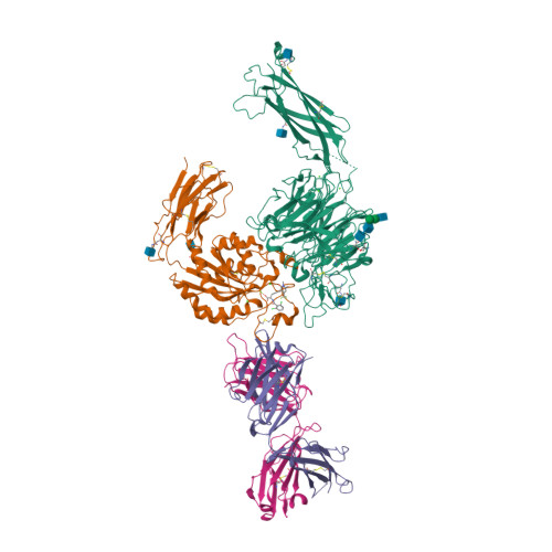 Rcsb Pdb 3v4v Crystal Structure Of b7 Headpiece Complexed With Fab Act 1 And Ro