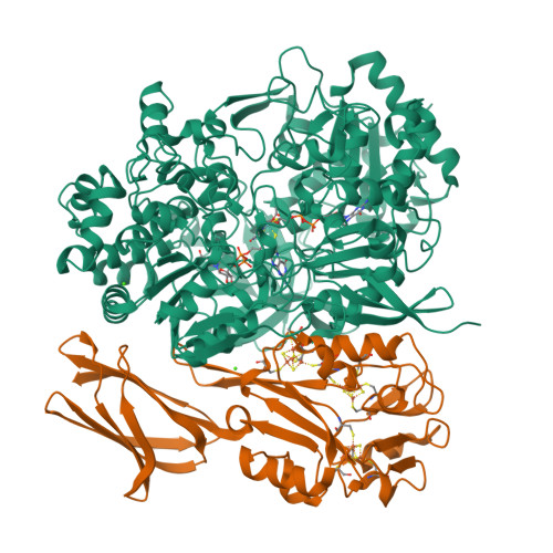 Rcsb Pdb 4v4c Crystal Structure Of Pyrogallol Phloroglucinol Transhydroxylase From Pelobacter Acidigallici