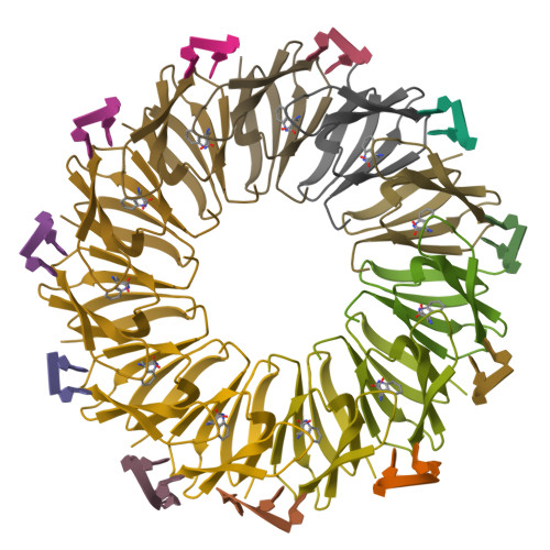 Rcsb Pdb 4v4f The Structure Of The Trp Rna Binding Attenuation Protein Trap Bound To A Rna Molecule Containing Uagau Repeats