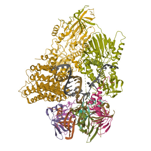 Rcsb Pdb 6v4x Cryo Em Structure Of An Active Human Histone Pre Mrna 3 End Processing Machinery At 3 2 Angstrom Resolution