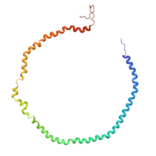Rcsb Pdb 4v6m Structure Of The Ribosome Secye Complex In The Membrane Environment