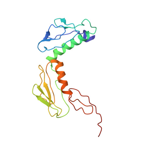 Rcsb Pdb 4v6m Structure Of The Ribosome Secye Complex In The Membrane Environment