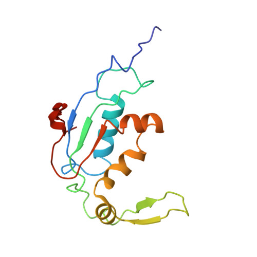 Rcsb Pdb 4v6m Structure Of The Ribosome Secye Complex In The Membrane Environment
