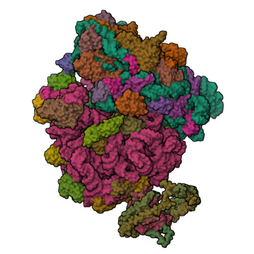4v6m Structure Of The Ribosome Secye Complex In The Membrane Environment Rcsb Pdb