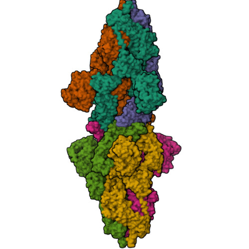 RCSB PDB - 7V7J: Cryo-EM Structure Of SARS-CoV-2 S-Kappa Variant (B.1. ...