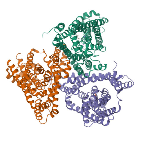 Rcsb Pdb 3v8g Crystal Structure Of An Asymmetric Trimer Of A Glutamate Transporter Homologue Gltph