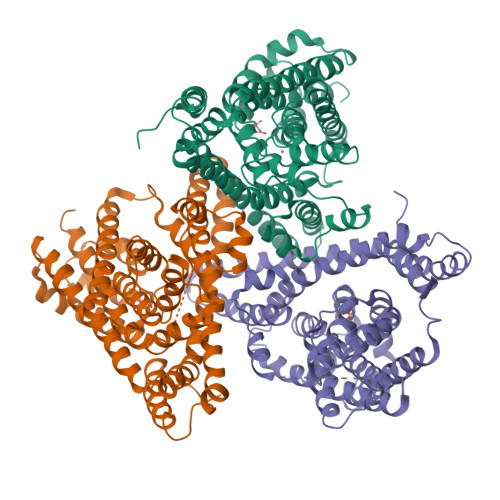 Rcsb Pdb 3v8g Crystal Structure Of An Asymmetric Trimer Of A Glutamate Transporter Homologue Gltph