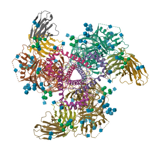 Rcsb Pdb 5v8m Bg505 Sosip 664 Trimer In Complex With Broadly Neutralizing Hiv Antibody 3bnc117