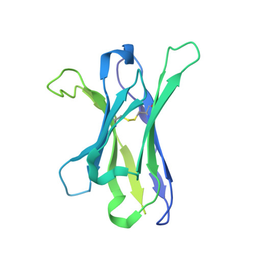 Rcsb Pdb 5v8m Bg505 Sosip 664 Trimer In Complex With Broadly Neutralizing Hiv Antibody 3bnc117