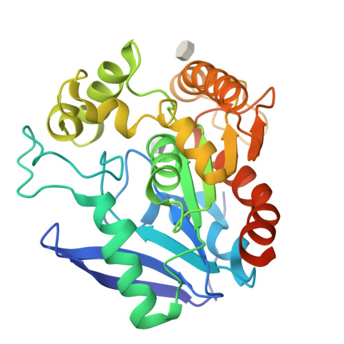 Rcsb Pdb 1va5 Antigen 85c With Octylthioglucoside In Active Site