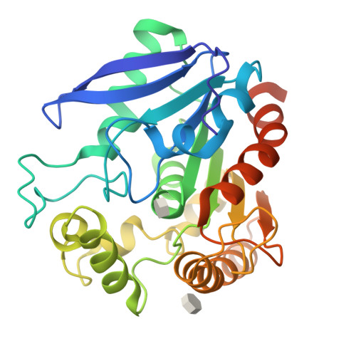 Rcsb Pdb 1va5 Antigen 85c With Octylthioglucoside In Active Site