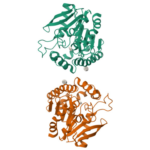 Rcsb Pdb 1va5 Antigen 85c With Octylthioglucoside In Active Site