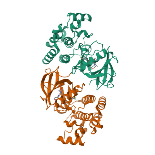 Rcsb Pdb 5vam Braf In Complex With Raf709