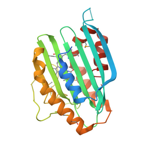 Rcsb Pdb 2vck Structure Of Phycoerythrobilin Synthase Pebs From The Cyanophage P Ssm2 In Complex With The Bound Substrate Biliverdin Ixa
