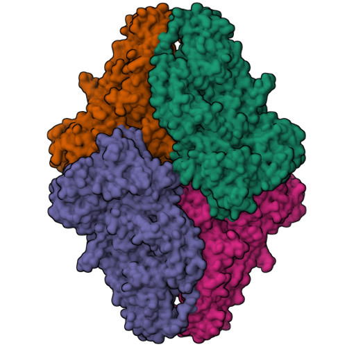 Rcsb Pdb 3vdc E Coli Lacz Beta Galactosidase N460t In Complex With Iptg