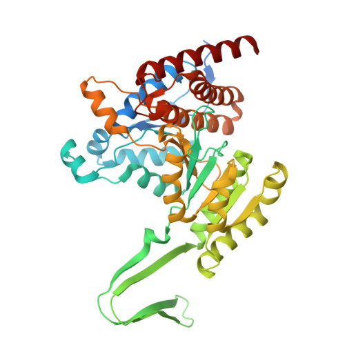 Rcsb Pdb 6vfz Crystal Structure Of Human Mitochondrial Isocitrate Dehydrogenase Idh2 R140q Mutant Homodimer In Complex With Nadph And Ag 881 Vorasidenib Inhibitor