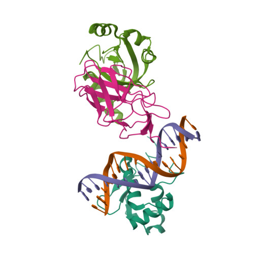 Rcsb Pdb 6vgd Crystal Structure Of The Dna Binding Domain Dbd Of Human Fli1 And The Complex Of The Dbd Of Human Runx2 With Core Binding Factor Beta Cbfb In Complex