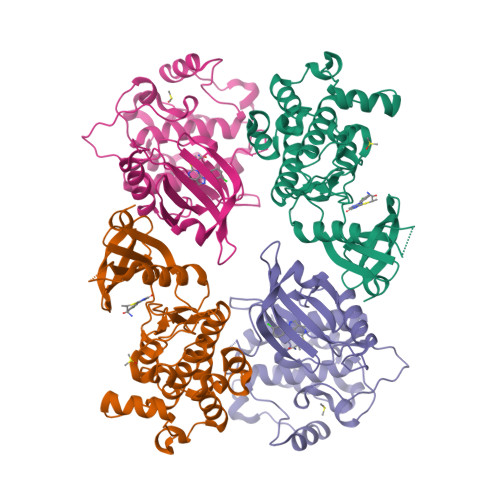 Rcsb Pdb 5vja Crystal Structure Of Human Zipper Interacting Protein Kinase Zipk Alias Dapk3 In Complex With A Pyrazolo 3 4 D Pyrimidinone Ligand Hs38