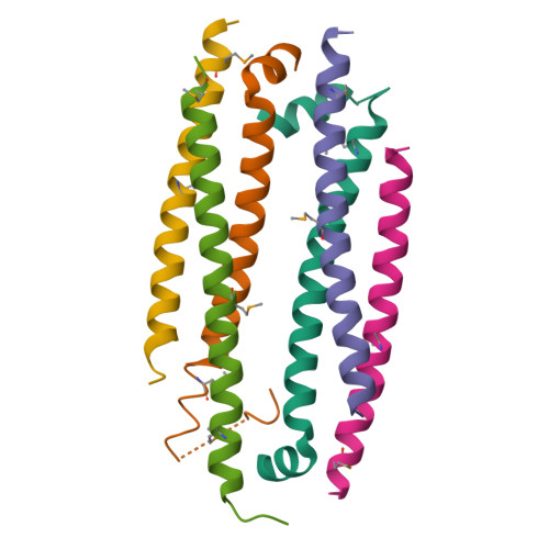 Rcsb Pdb 5vjx Crystal Structure Of The Clock Transcription Domain Exon19 In Complex With A Repressor