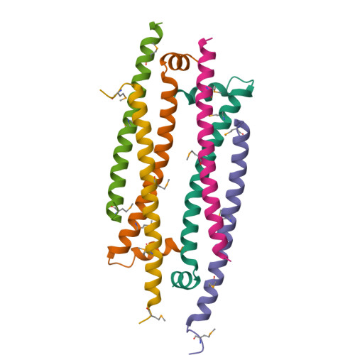 Rcsb Pdb 5vjx Crystal Structure Of The Clock Transcription Domain Exon19 In Complex With A Repressor