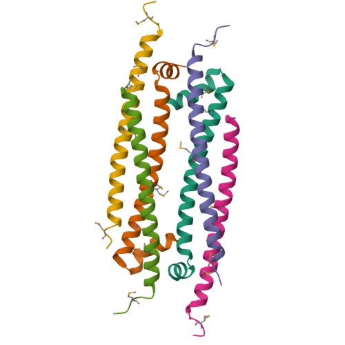 Rcsb Pdb 5vjx Crystal Structure Of The Clock Transcription Domain Exon19 In Complex With A Repressor