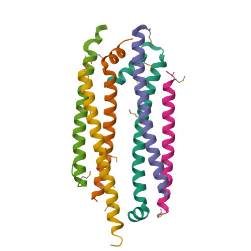 Rcsb Pdb 5vjx Crystal Structure Of The Clock Transcription Domain Exon19 In Complex With A Repressor