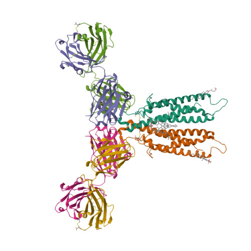 Rcsb Pdb 6vja Structure Of Cd20 In Complex With Rituximab Fab