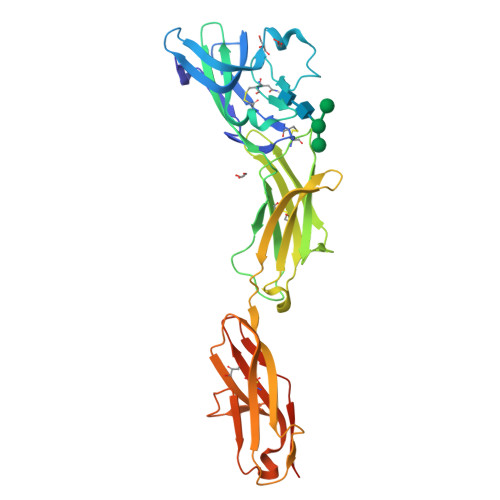 Rcsb Pdb 5vkj Crystal Structure Of Human Cd22 Ig Domains 1 3