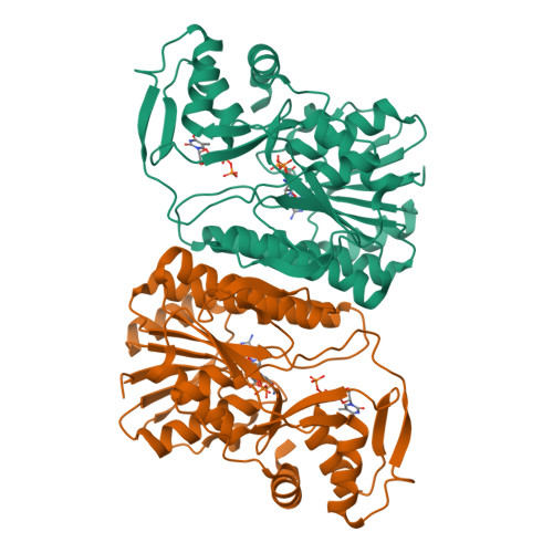 Rcsb Pdb 6vlo X Ray Structure Of The R141 Sugar 4 6 Dehydratase From Acanthamoeba Polyphaga Minivirus