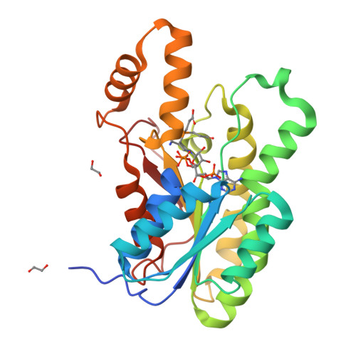 image of structure for 5VPS