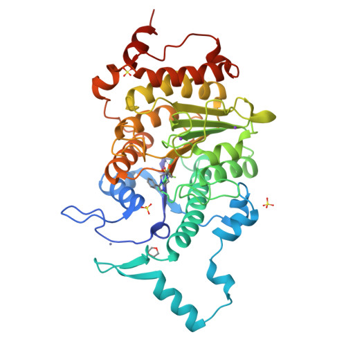 Rcsb Pdb 2vqj Structure Of Hdac4 Catalytic Domain Bound To A Trifluoromethylketone Inhbitor