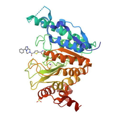 Rcsb Pdb 2vqv Structure Of Hdac4 Catalytic Domain With A Gain Of Function Mutation Bound To A Hydroxamic Acid Inhibitor