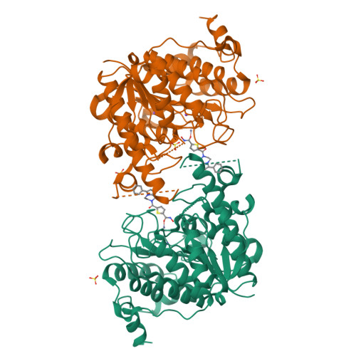 Rcsb Pdb 2vqv Structure Of Hdac4 Catalytic Domain With A Gain Of Function Mutation Bound To A Hydroxamic Acid Inhibitor