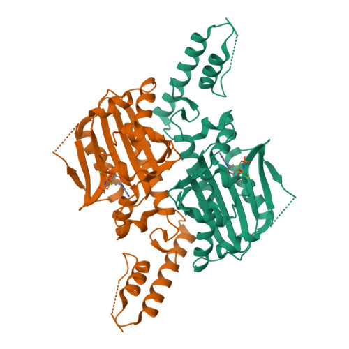 Rcsb Pdb 3vqv Crystal Structure Of The Catalytic Domain Of Pyrrolysyl Trna Synthetase In Complex With Amppnp Re Refined